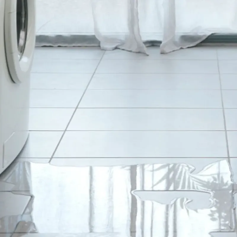 Appliance Leak Cleanup in Montross, VA
