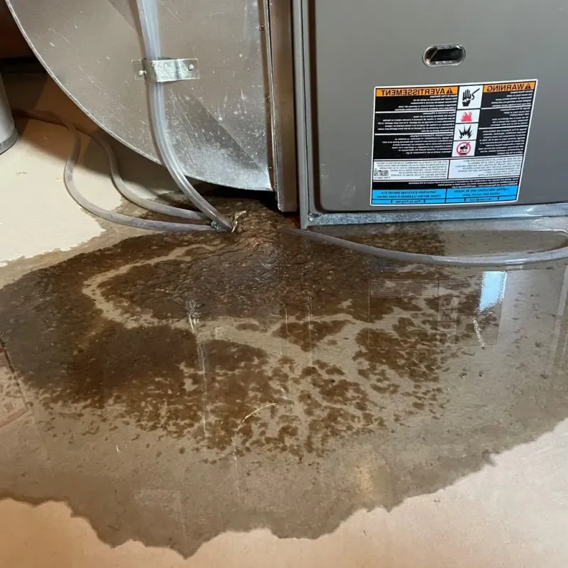 Pipe Burst and Leak Restoration in Montross, VA