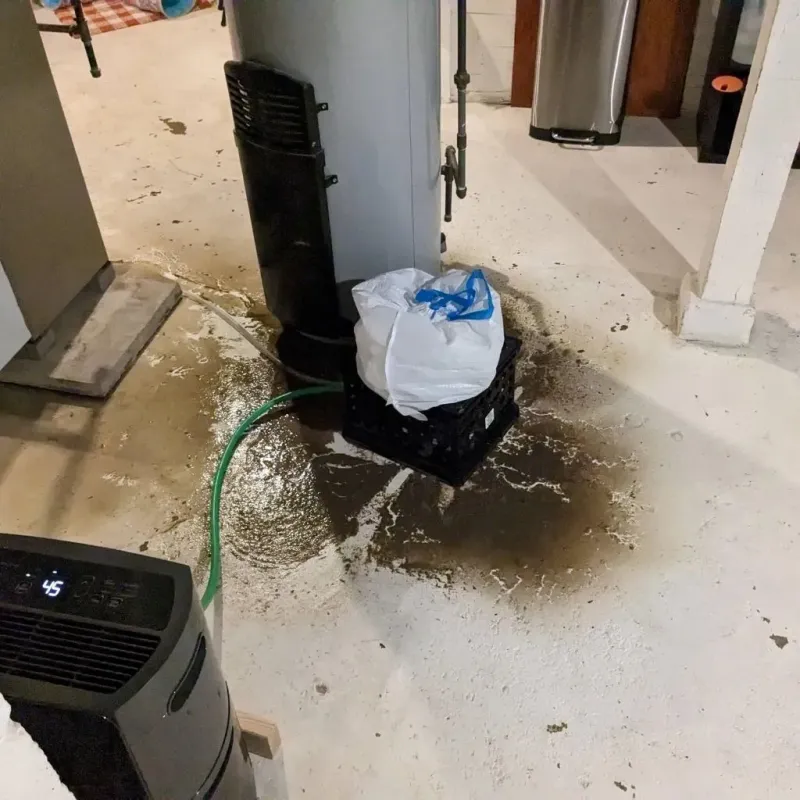 Sewage Backup Cleanup Service in Montross, VA